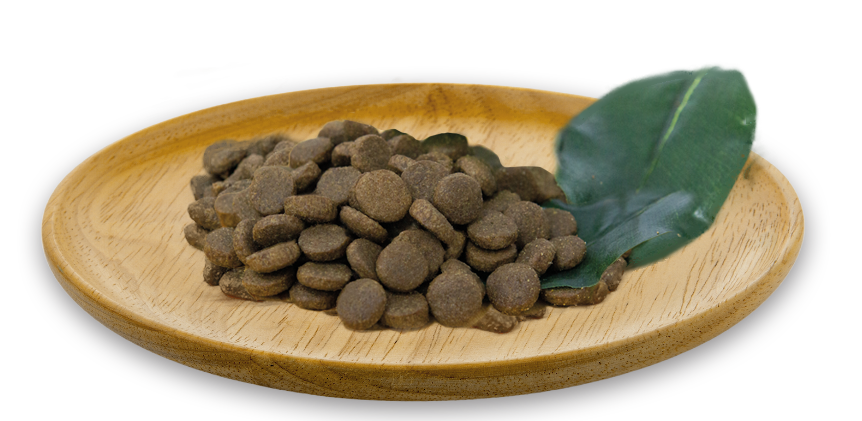 Natural Woodland Country · pienso diario de pollo y arroz - Imagen 3