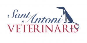 LOGO FINAL-02